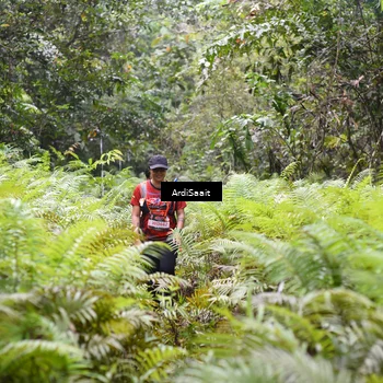Runner Photo 8556596