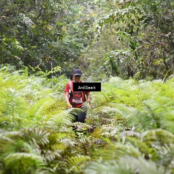 Runner Photo 8556598