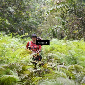 Runner Photo 8556605