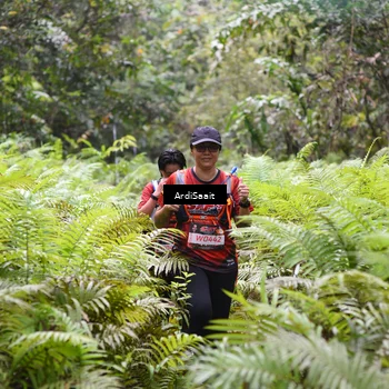 Runner Photo 8556614