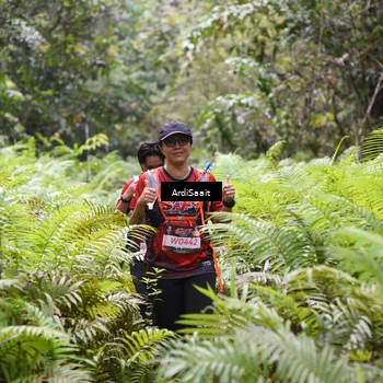 Runner Photo 8556620