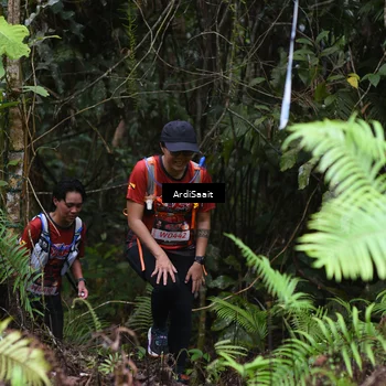 Runner Photo 8556670
