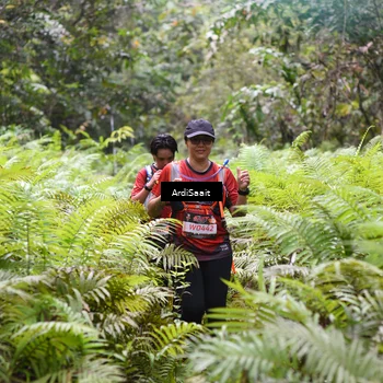 Runner Photo 8556675
