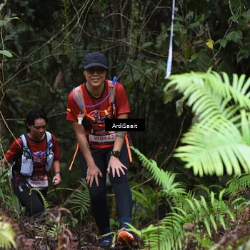 Runner Photo 8556688