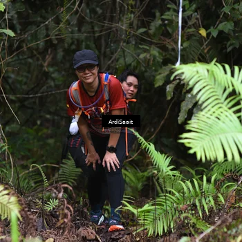 Runner Photo 8556689
