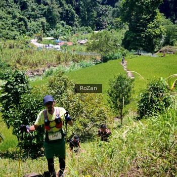 Runner Photo 85567