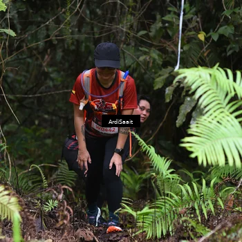 Runner Photo 8556704