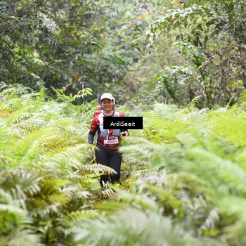 Runner Photo 8556720