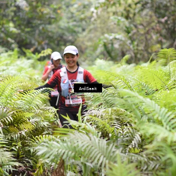 Runner Photo 8556758