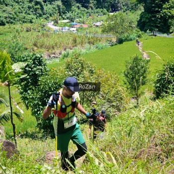 Runner Photo 85568
