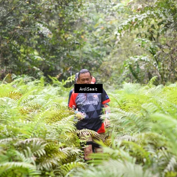 Runner Photo 8556806