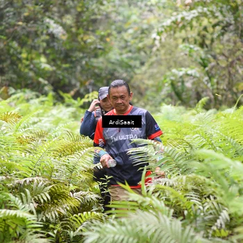 Runner Photo 8556809