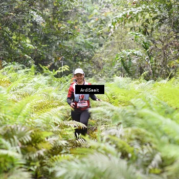 Runner Photo 8556958