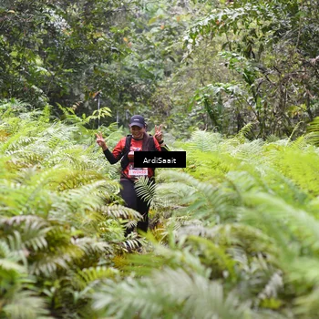 Runner Photo 8556998