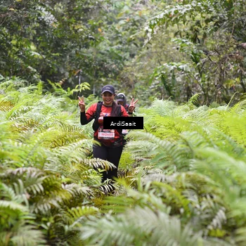 Runner Photo 8557005