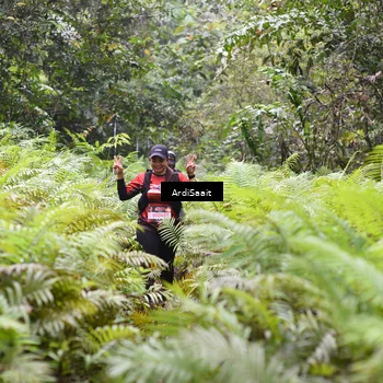 Runner Photo 8557006