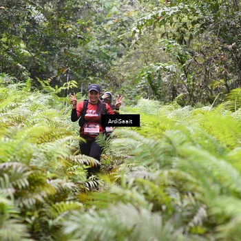 Runner Photo 8557019