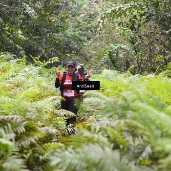 Runner Photo 8557027