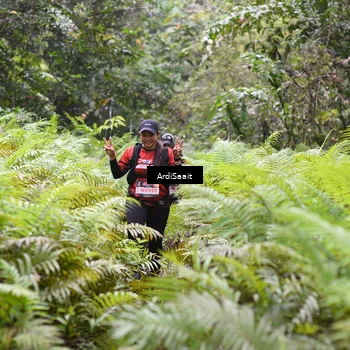 Runner Photo 8557030