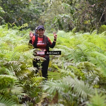 Runner Photo 8557035