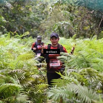 Runner Photo 8557041