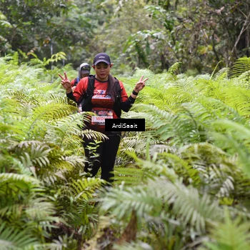 Runner Photo 8557042