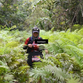 Runner Photo 8557053