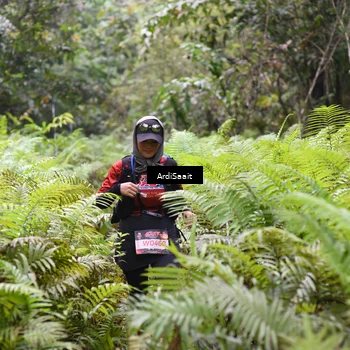 Runner Photo 8557054