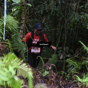 Runner Photo 8557062