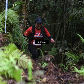 Runner Photo 8557064