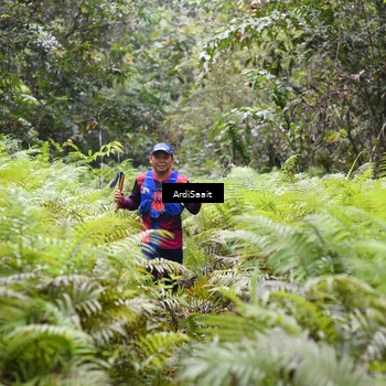 Runner Photo 8557090