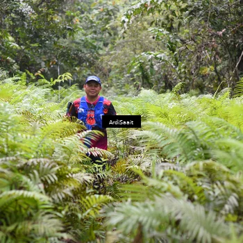 Runner Photo 8557095