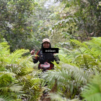 Runner Photo 8557130