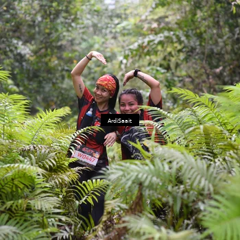 Runner Photo 8557167