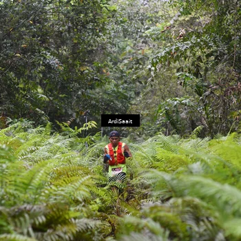 Runner Photo 8557210
