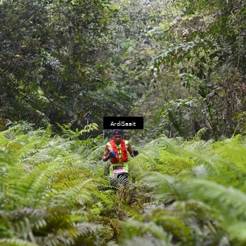 Runner Photo 8557213