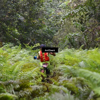 Runner Photo 8557217
