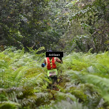 Runner Photo 8557218