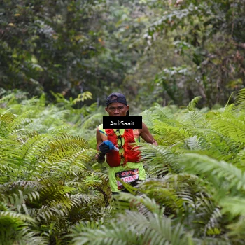 Runner Photo 8557221