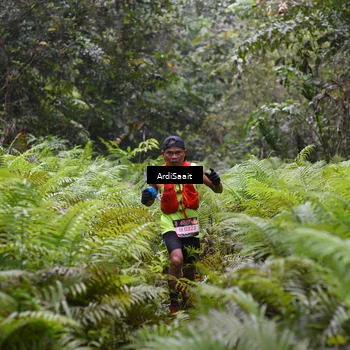 Runner Photo 8557222