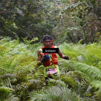 Runner Photo 8557225
