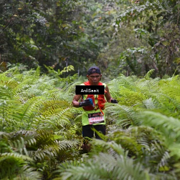 Runner Photo 8557226