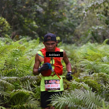 Runner Photo 8557229