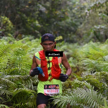 Runner Photo 8557230