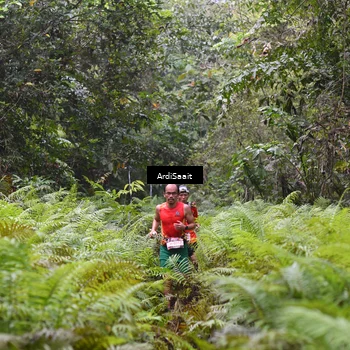 Runner Photo 8557233