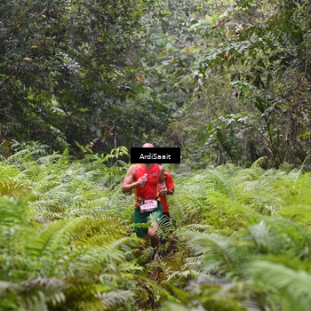 Runner Photo 8557239