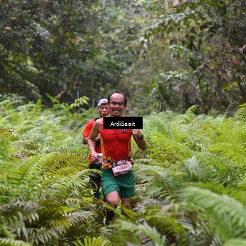 Runner Photo 8557251