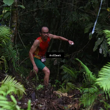 Runner Photo 8557271
