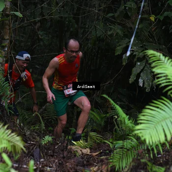 Runner Photo 8557273