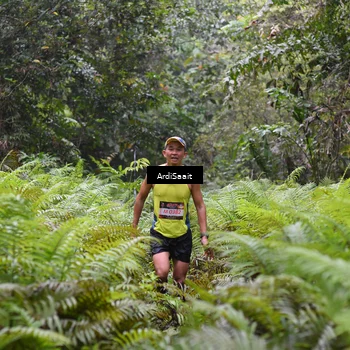 Runner Photo 8557282